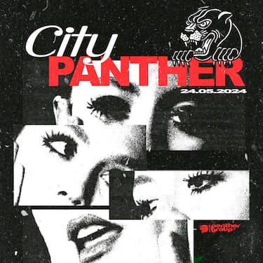 CITY PANTHER image}